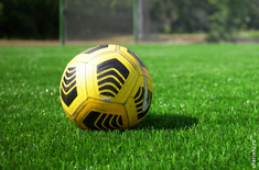 Лента новостей