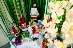 Лента новостей