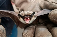 Лента новостей