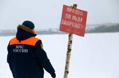 Лента новостей