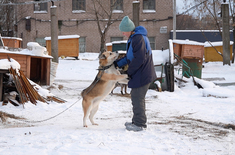 Лента новостей