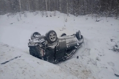 Лента новостей