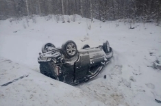 Лента новостей