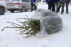 Лента новостей