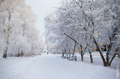 Лента новостей