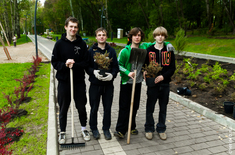 Лента новостей