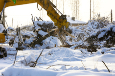 Лента новостей