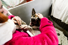 Лента новостей