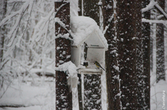 Лента новостей