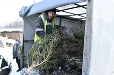 Лента новостей