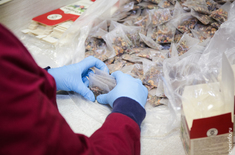 Лента новостей