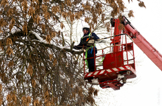 Лента новостей