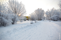 Лента новостей