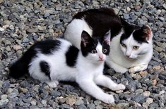 Лента новостей