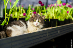 Лента новостей