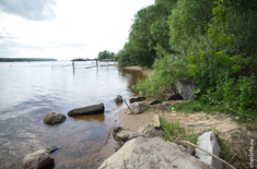 Лента новостей