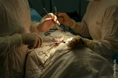 Лента новостей