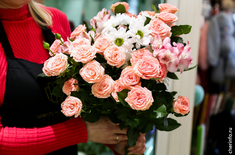 Лента новостей