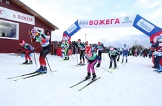 Лента новостей