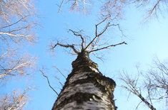 Лента новостей