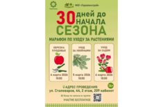 Лента новостей