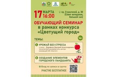 Лента новостей