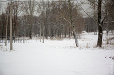 Лента новостей