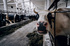 Лента новостей