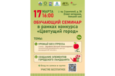 Лента новостей