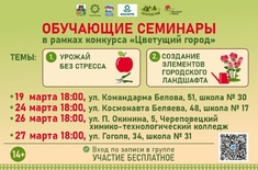 Лента новостей