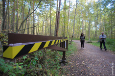 Лента новостей