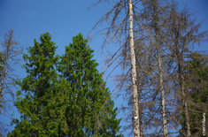 Лента новостей