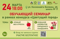 Лента новостей