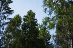 Лента новостей