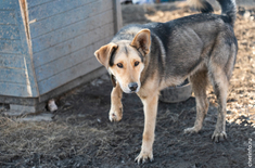 Лента новостей