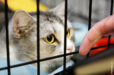 Лента новостей