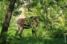 Лента новостей