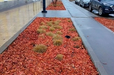 Лента новостей