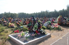 Лента новостей