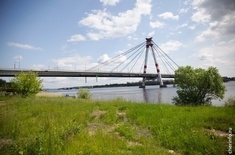 Лента новостей