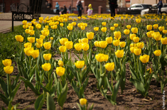 Лента новостей