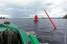 Лента новостей