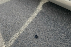 Лента новостей