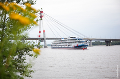 Лента новостей