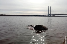 Лента новостей