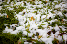 Лента новостей