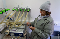 Лента новостей