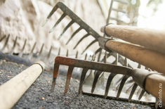 Лента новостей