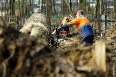 Лента новостей