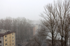 Лента новостей